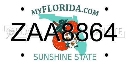 ZAA8864 Florida License Plate