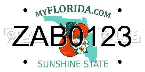 ZAB0123 Florida License Plate