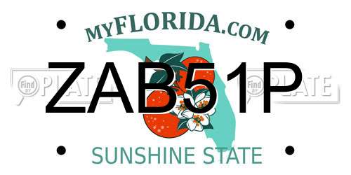 ZAB51P Florida License Plate