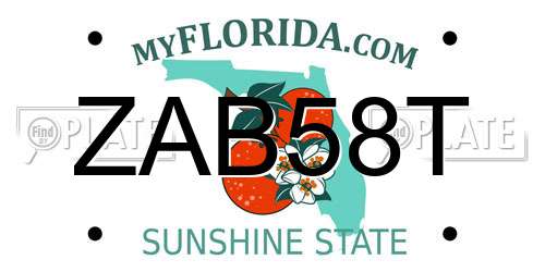 ZAB58T Florida License Plate