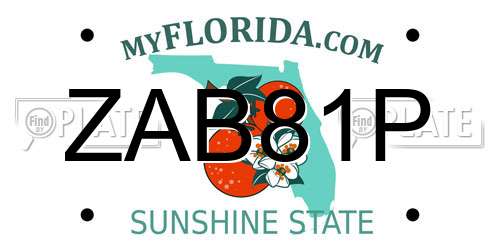 ZAB81P Florida License Plate