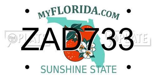 ZAD733 Florida License Plate