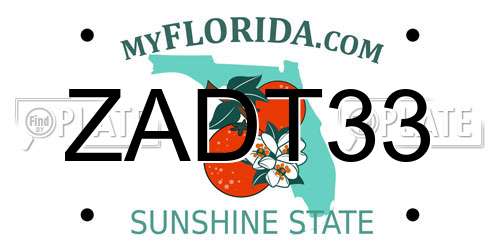 ZADT33 Florida License Plate