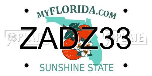 ZADZ33 Florida License Plate