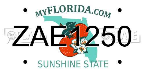 ZAE1250 Florida License Plate