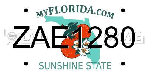 ZAE1280 Florida License Plate