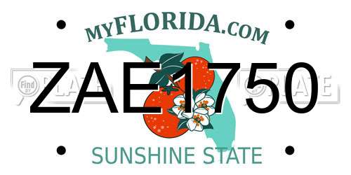 ZAE1750 Florida License Plate