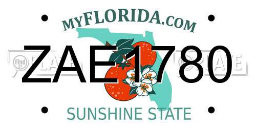 ZAE1780 Florida License Plate