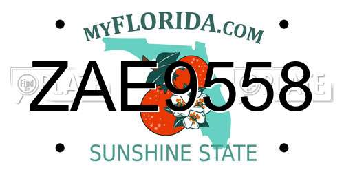 ZAE9558 Florida License Plate
