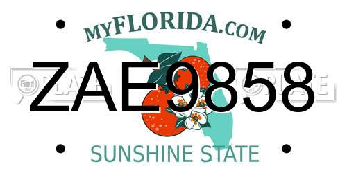 ZAE9858 Florida License Plate