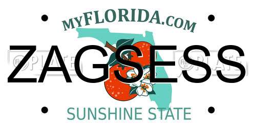ZAGSESS Florida License Plate