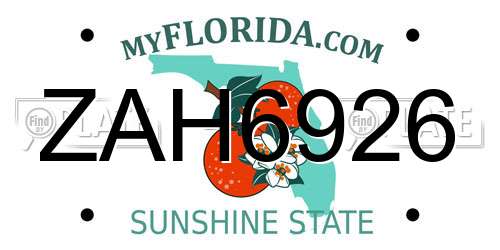 ZAH6926 Florida License Plate