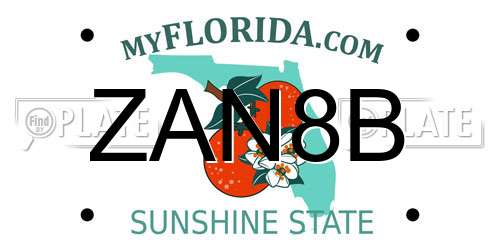 ZAN8B Florida License Plate