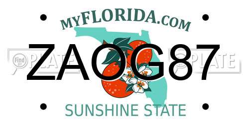 ZAOG87 Florida License Plate