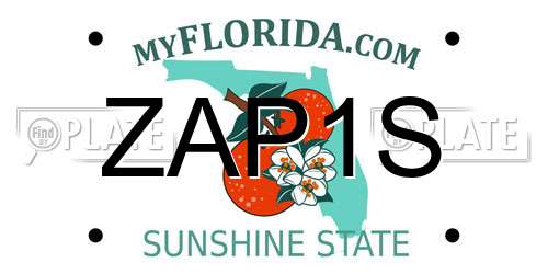 ZAP1S Florida License Plate