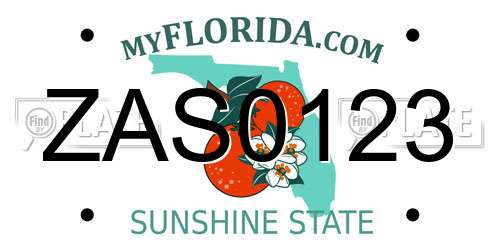ZAS0123 Florida License Plate