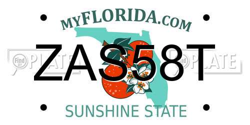 ZAS58T Florida License Plate
