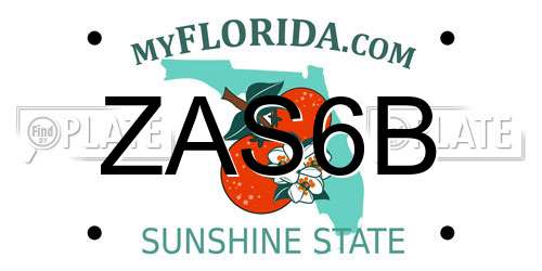 ZAS6B Florida License Plate