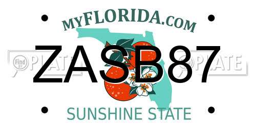 ZASB87 Florida License Plate