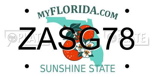 ZASG78 Florida License Plate