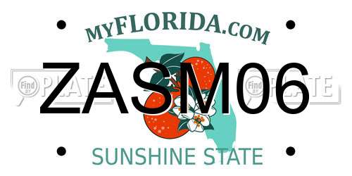 ZASM06 Florida License Plate