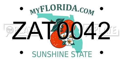 ZAT0042 Florida License Plate