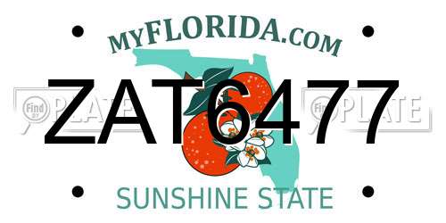 ZAT6477 Florida License Plate
