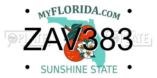 ZAV383 Florida License Plate