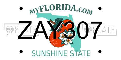 ZAY307 Florida License Plate