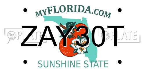 ZAY30T Florida License Plate