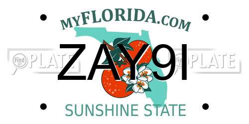 ZAY9I Florida License Plate