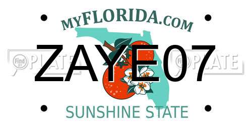 ZAYE07 Florida License Plate