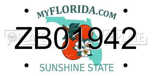 ZB01942 Florida License Plate