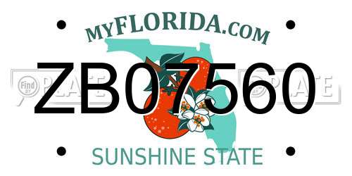 ZB07560 Florida License Plate