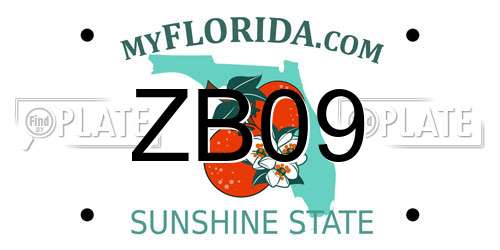 ZB09 Florida License Plate