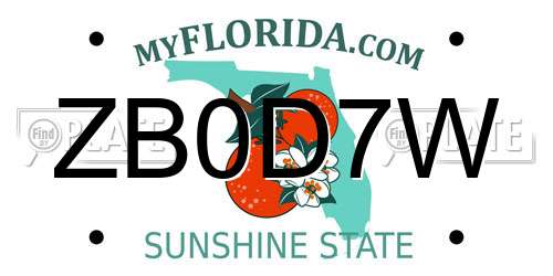 ZB0D7W Florida License Plate