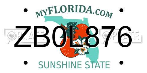 ZB0L876 Florida License Plate
