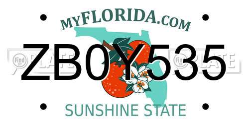 ZB0Y535 Florida License Plate