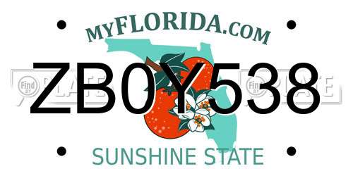 ZB0Y538 Florida License Plate