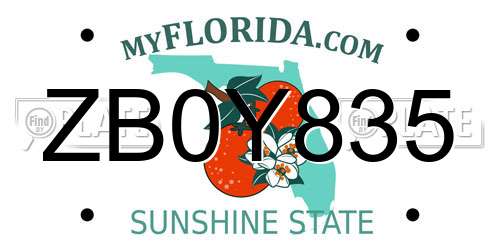 ZB0Y835 Florida License Plate
