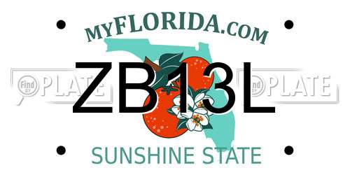 ZB13L Florida License Plate