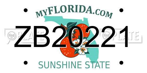 ZB20221 Florida License Plate