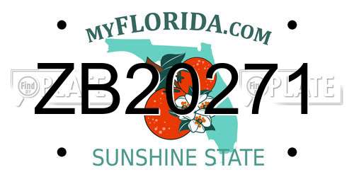 ZB20271 Florida License Plate