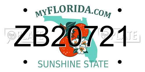 ZB20721 Florida License Plate