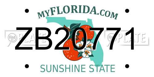 ZB20771 Florida License Plate