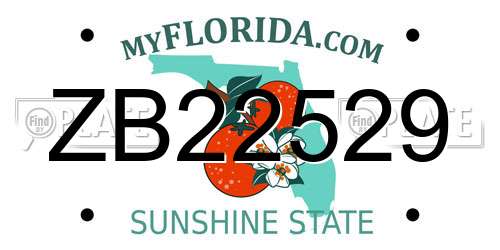ZB22529 Florida License Plate
