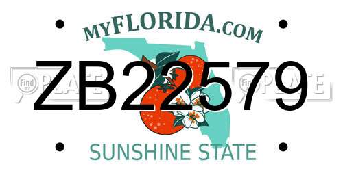 ZB22579 Florida License Plate