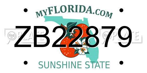ZB22879 Florida License Plate