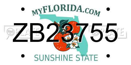 ZB23755 Florida License Plate