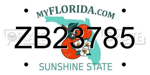 ZB23785 Florida License Plate